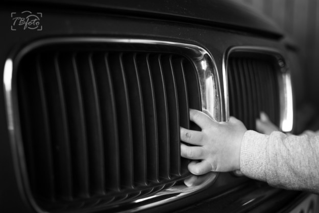 Dogwood_week_18_texture-2