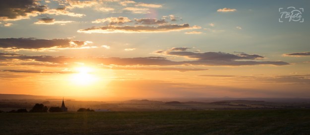 Dogwood_week_23_weather_3