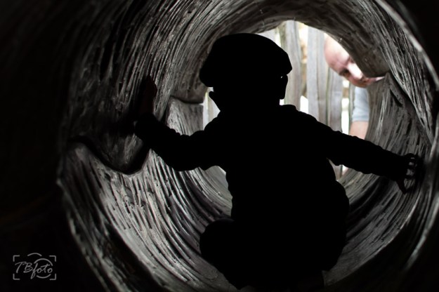 Dogwood_week_25_siloulete